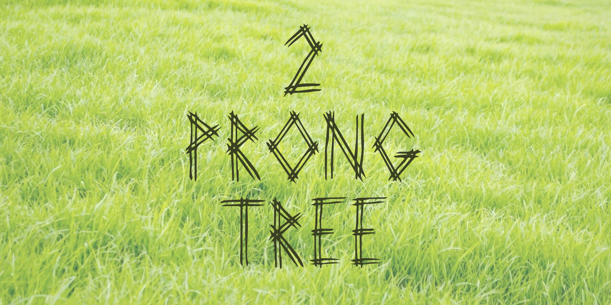 2 Prong Tree