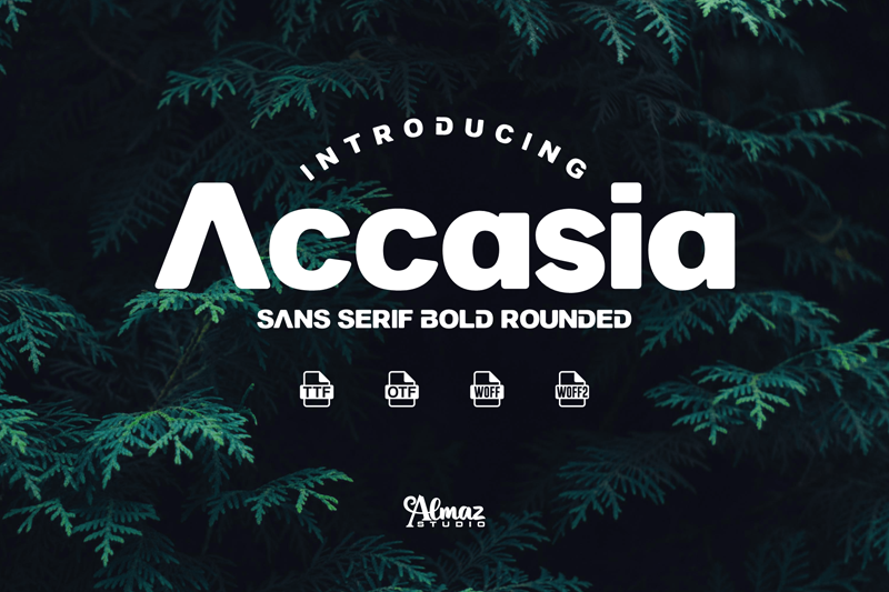 Accasia