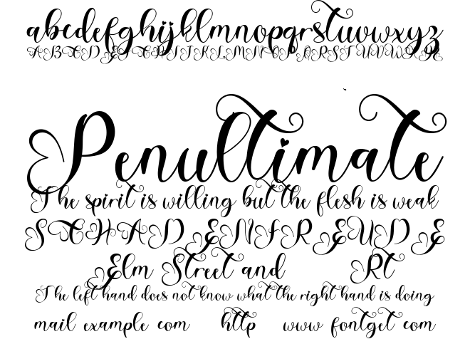Amalia Valentine Font