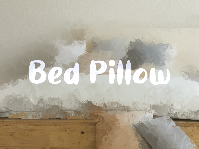 b Bed Pillow