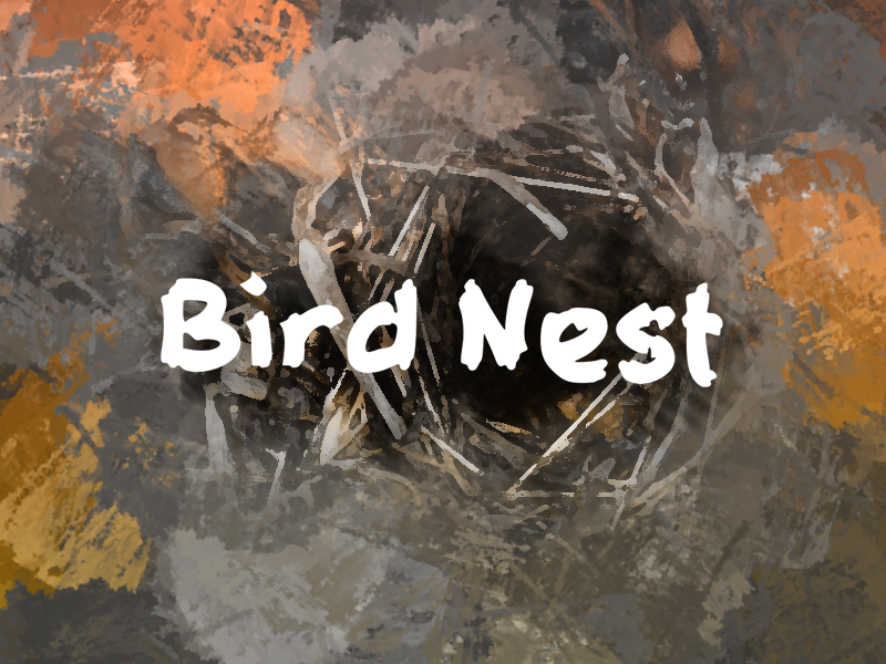 b Bird Nest