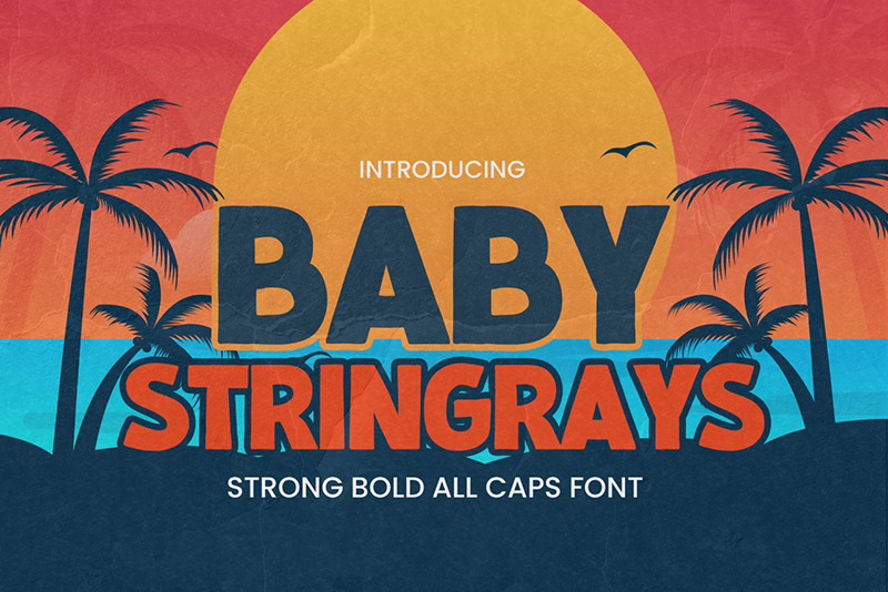 Baby Stingrays