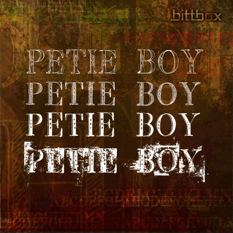 Bb Petie Boy
