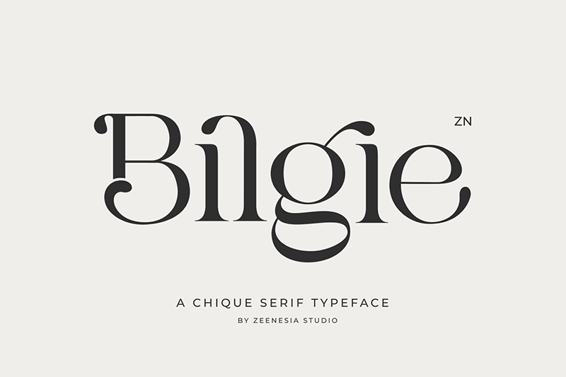 Bilgie