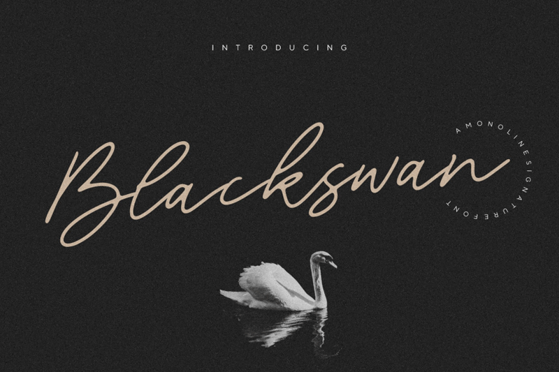 Blackswan