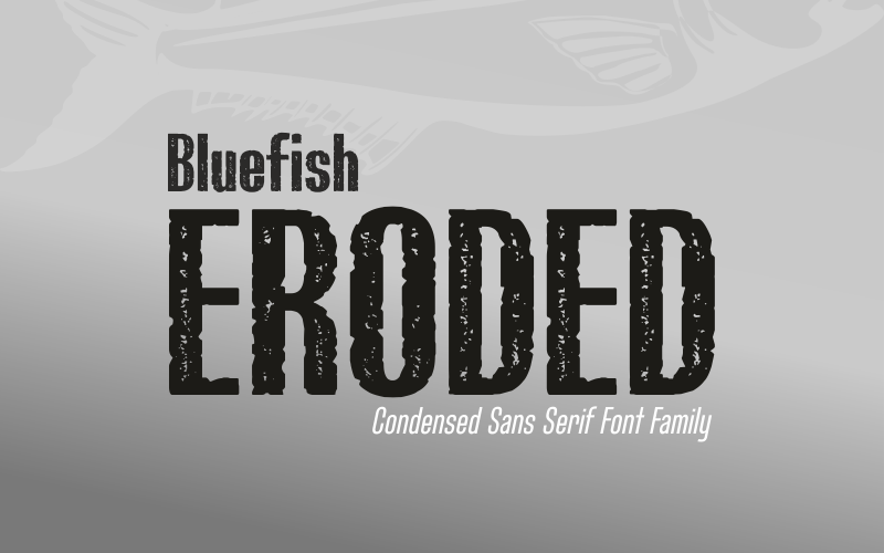 Bluefish Eroded