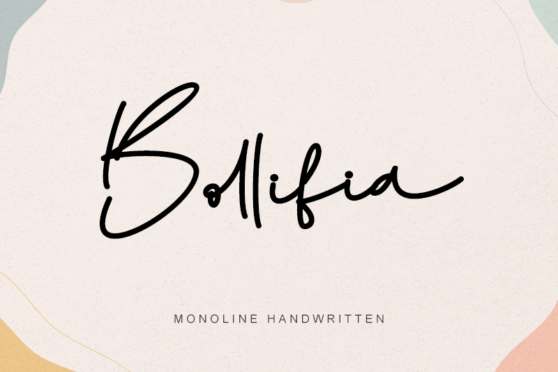 Bollifia