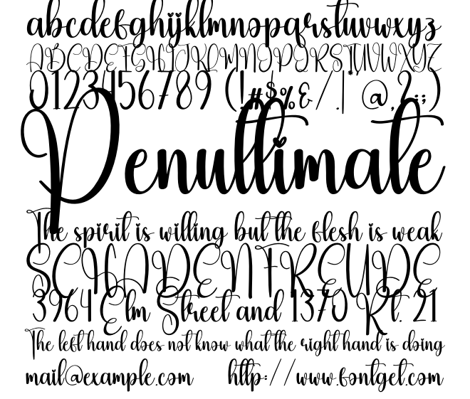 Boninter Font