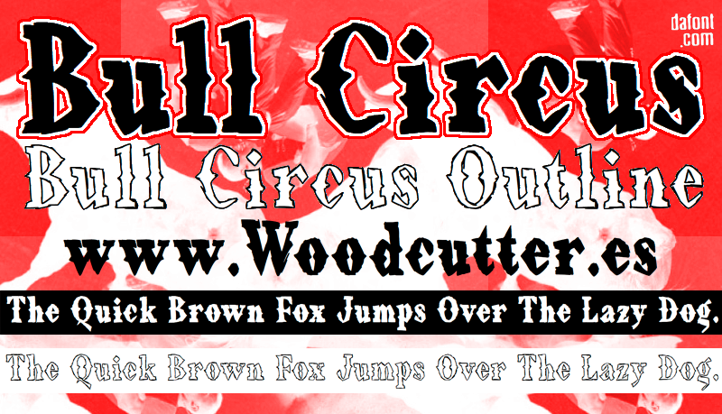 Bull Circus