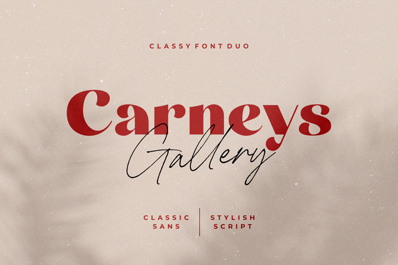 Carneys Gallery Script