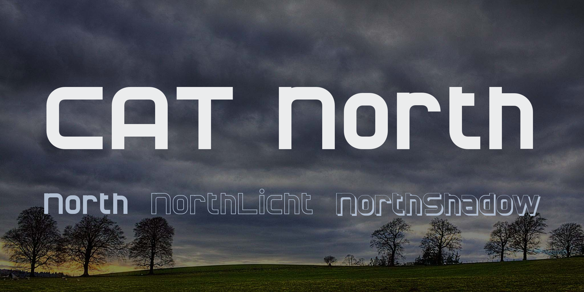 Cat North