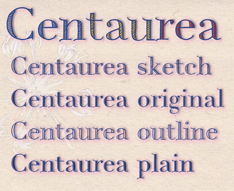 Centaurea