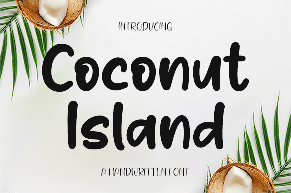 Coconut Island
