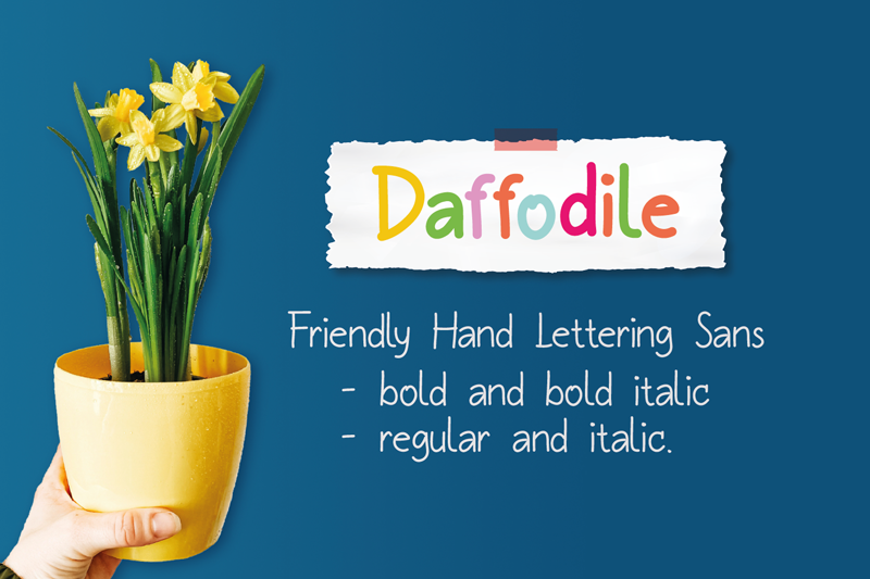 Daffodile