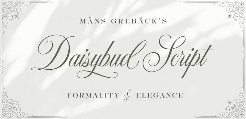 Daisybud Script
