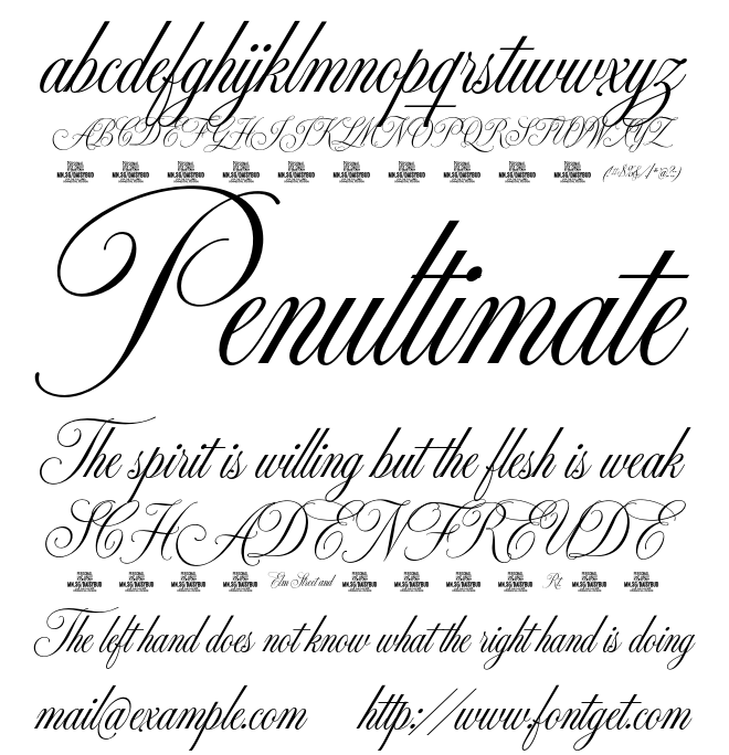 Daisybud Script Font