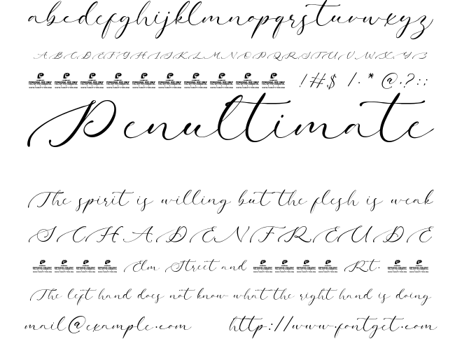 Darling Buttery Font