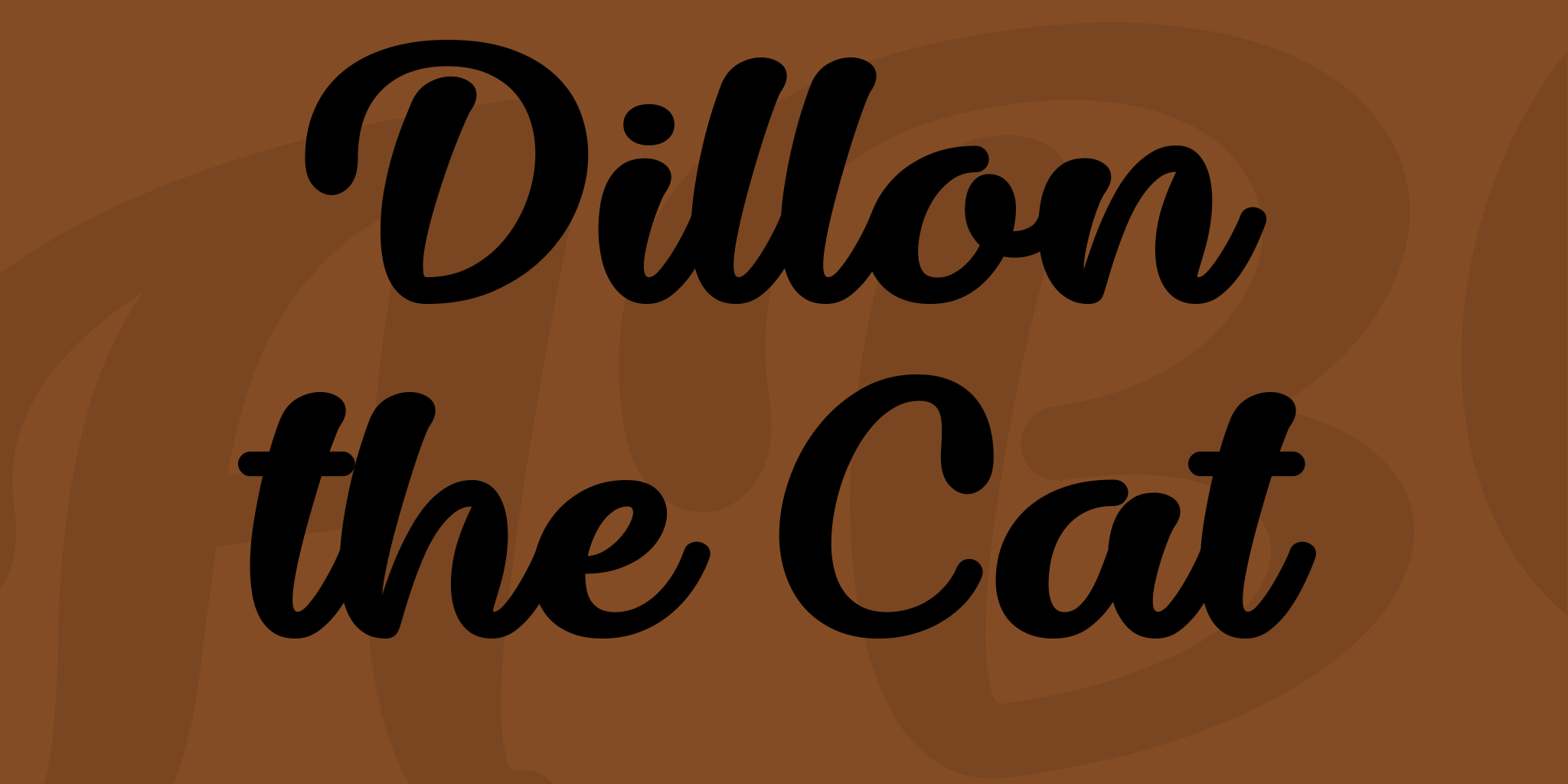 Dillon The Cat