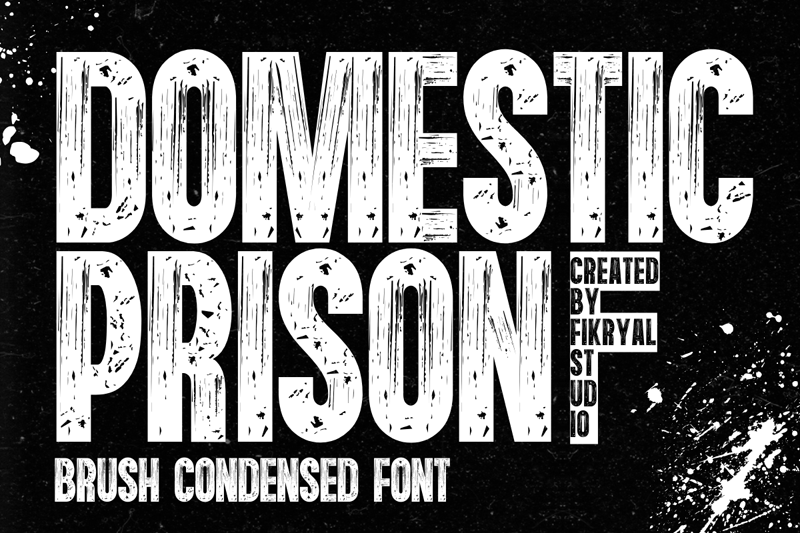 Domestic Prison