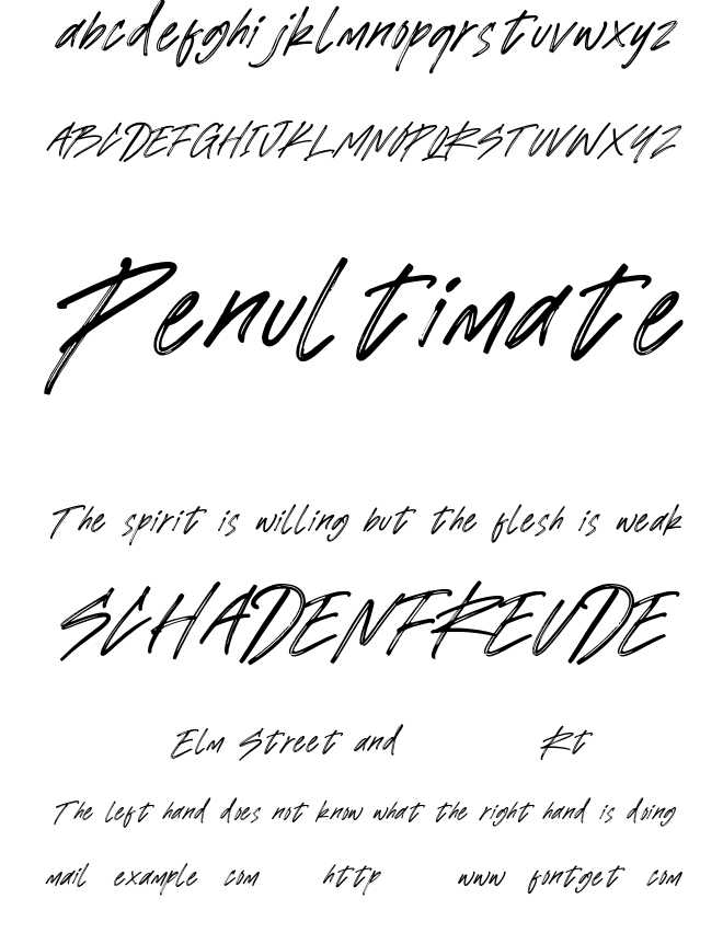 Emoria Brush Font
