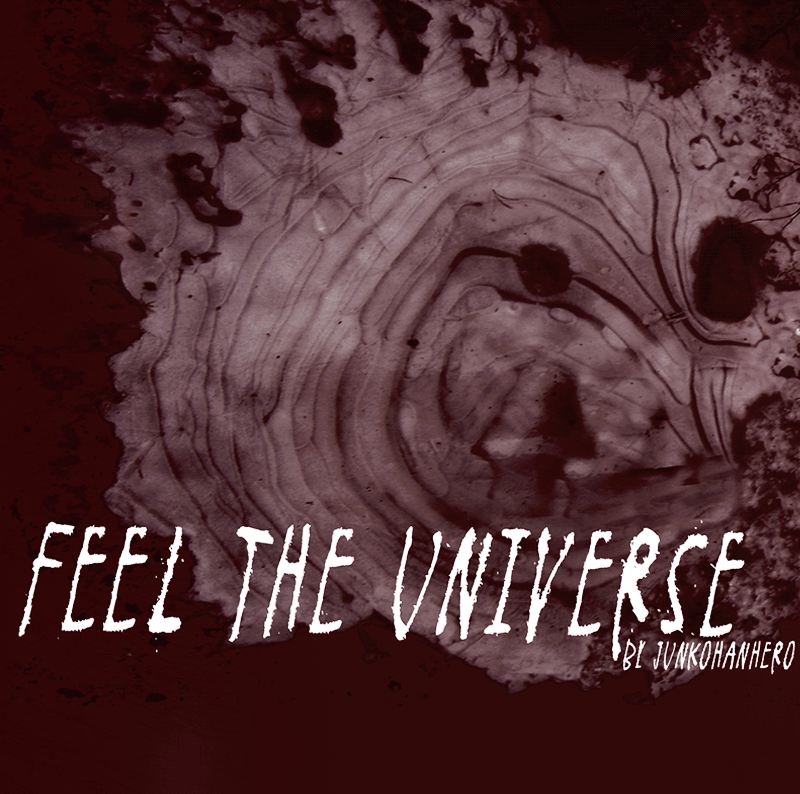 Feel The Universe