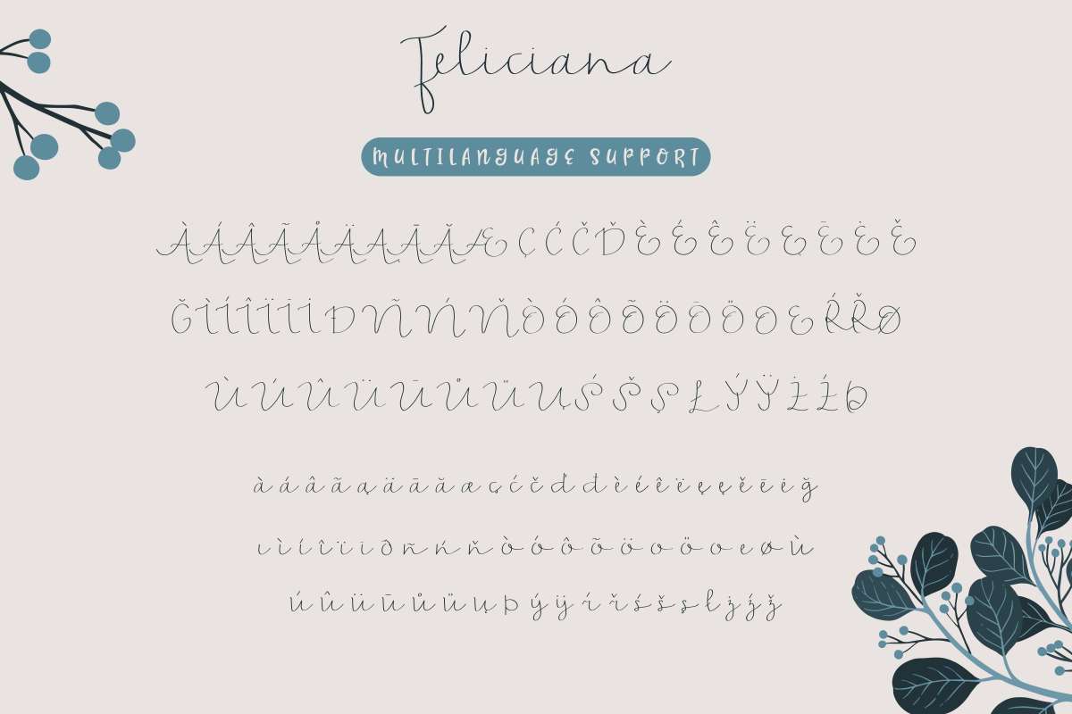 Feliciana Font Free Download Similar Fonts Fontget