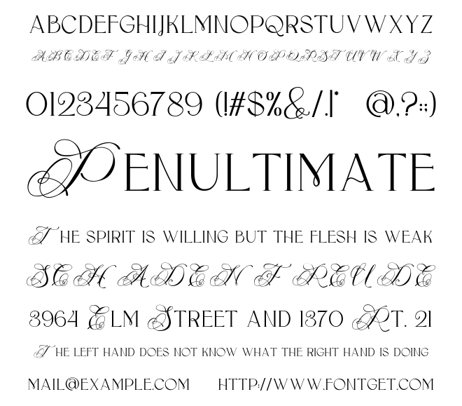 Flece Display Font