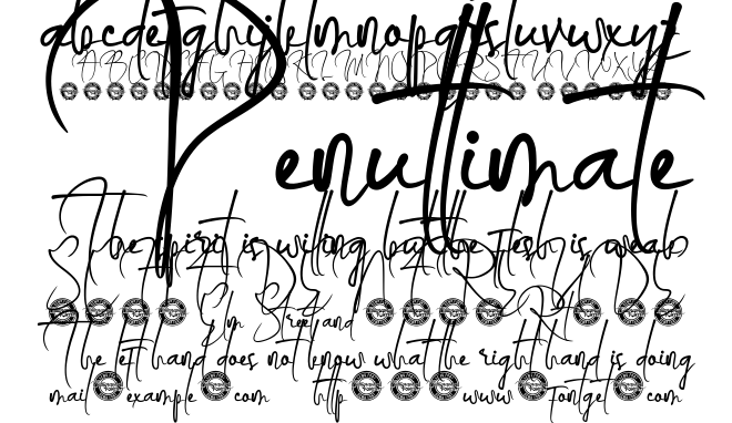 Fly Together Font