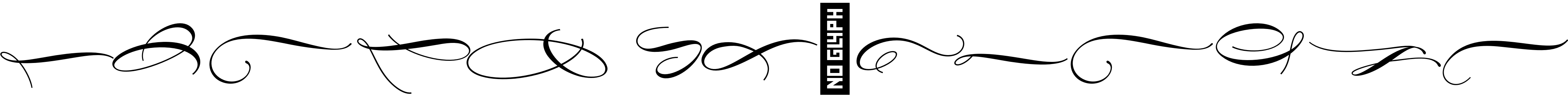 Formale Script
