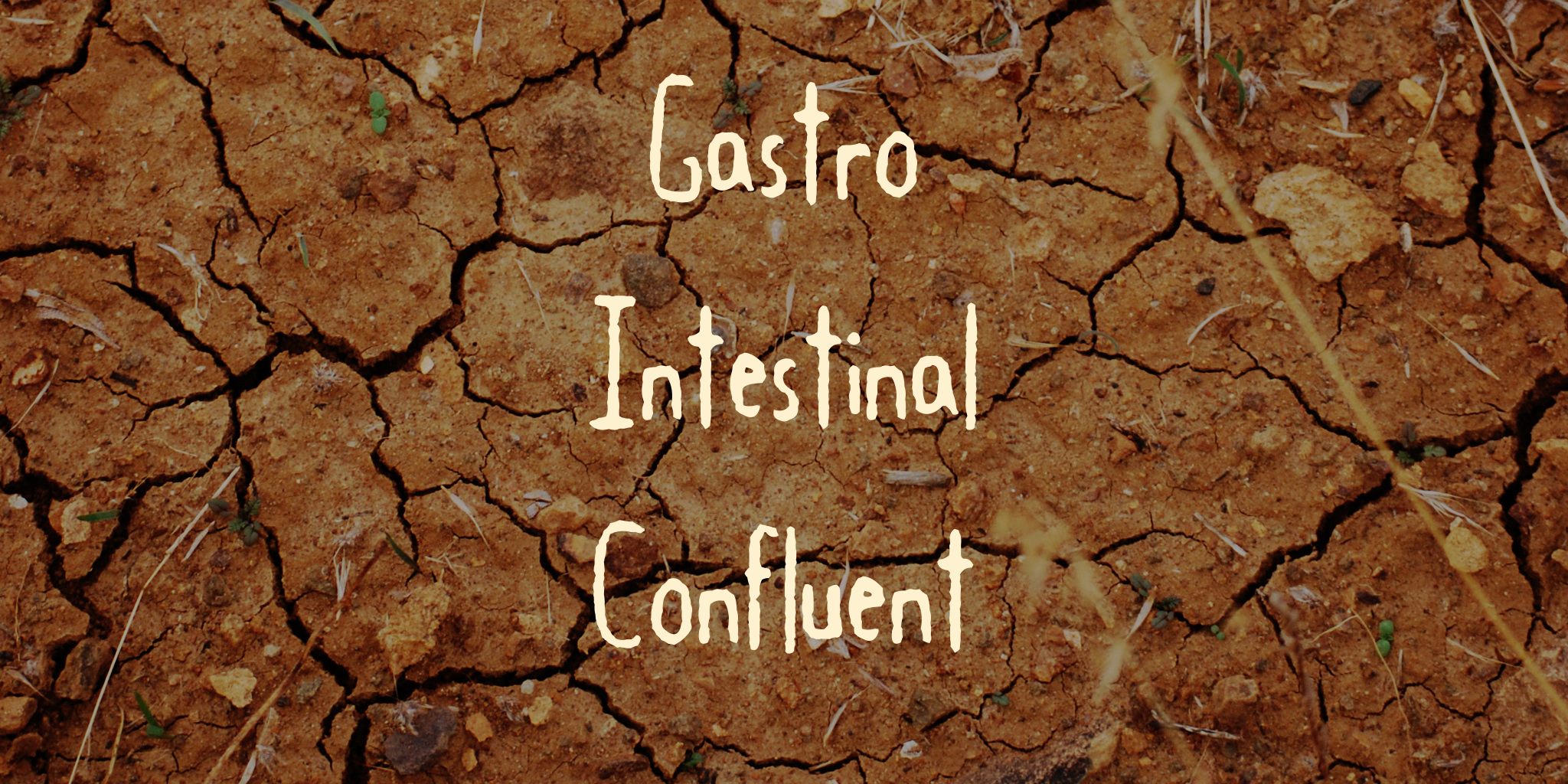 Gastro Intestinal Confluent