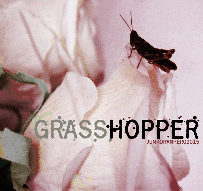 Grasshopper Z