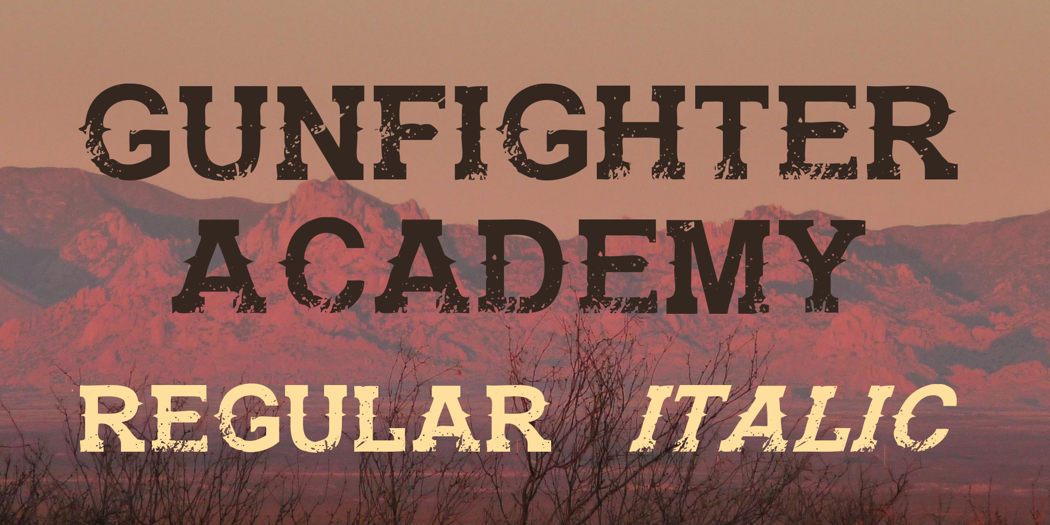 Gunfighter Academy