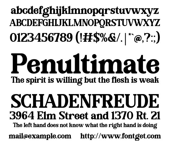 Hanela Rusty Font