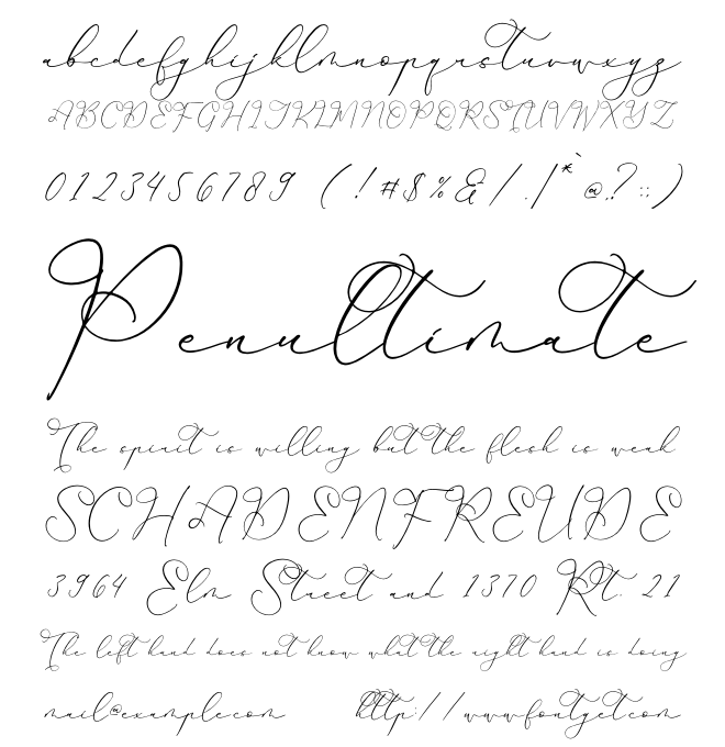 Hardyela Sandert Font