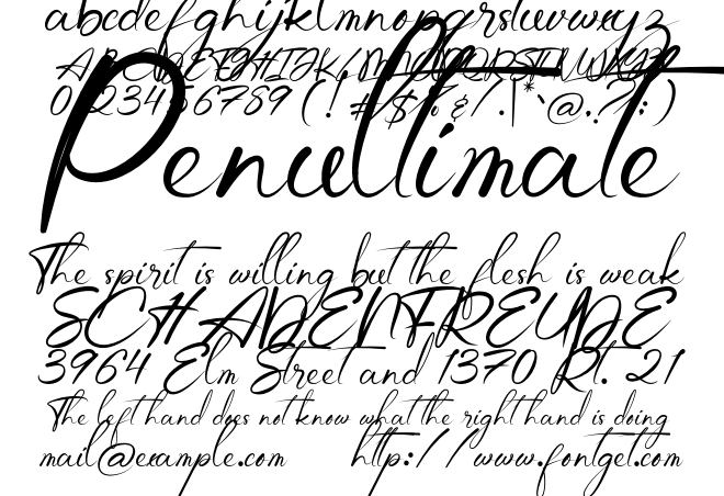 Jocelyn Sadnight Font