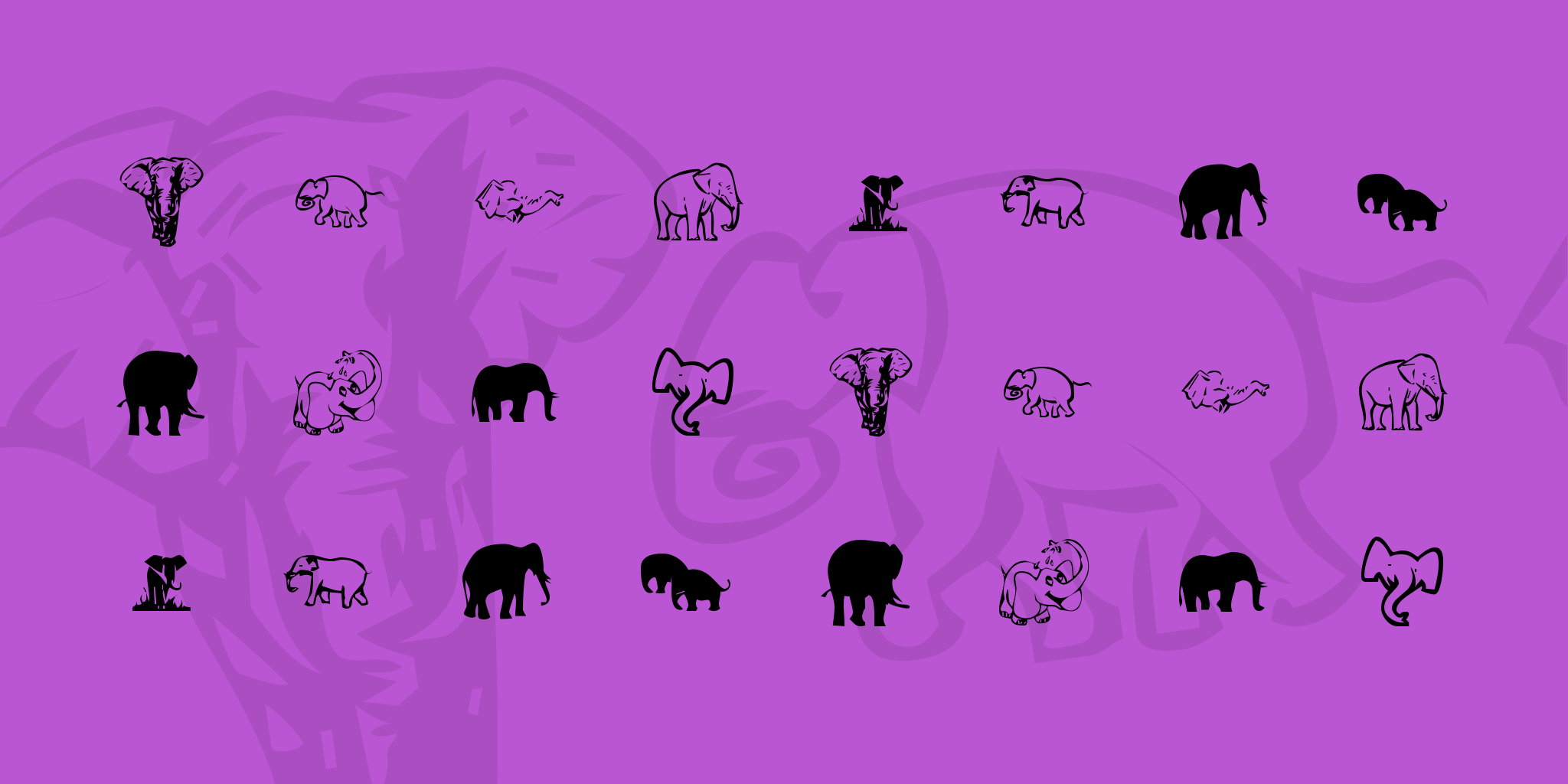 Kr Rachels Elephants