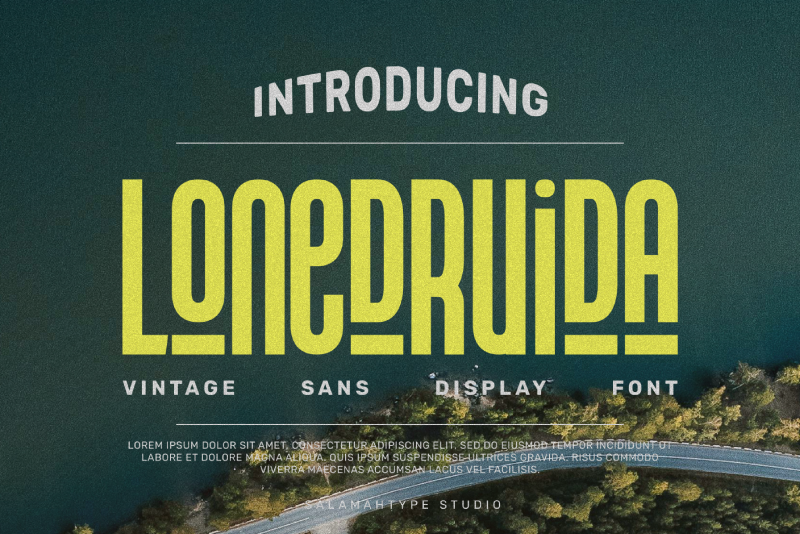 Lonedruida
