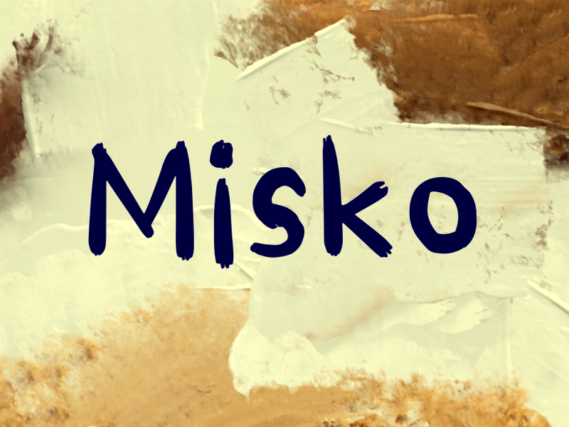 M Misko