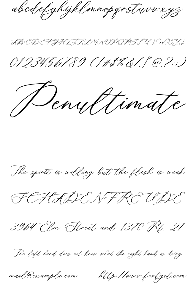 Meldyte Font