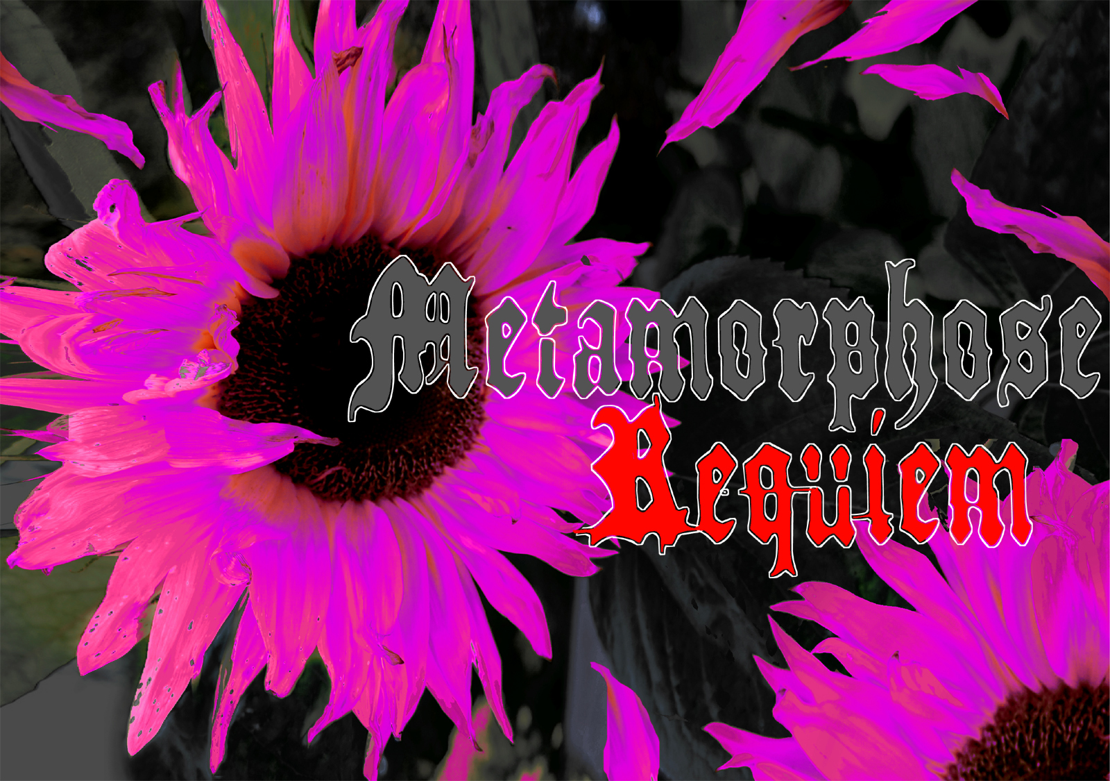 Metamorphose Requiem