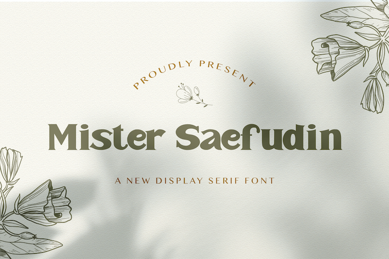 Mister Saefudin