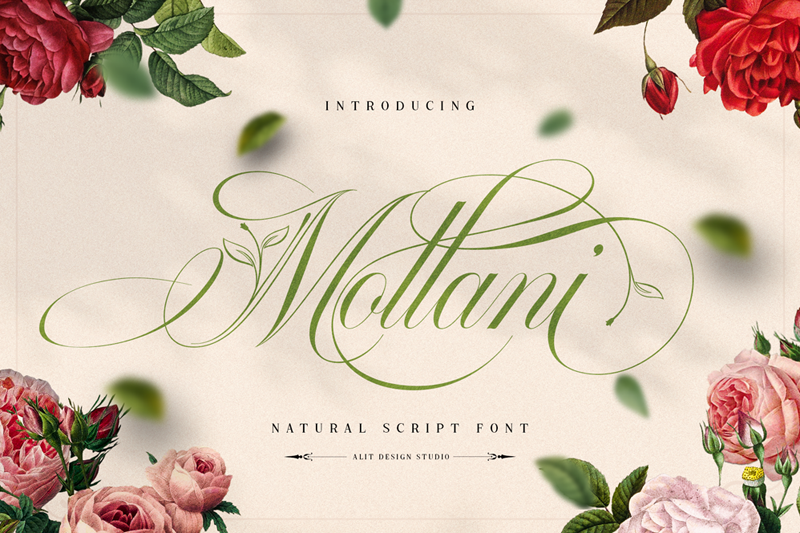 Mollani
