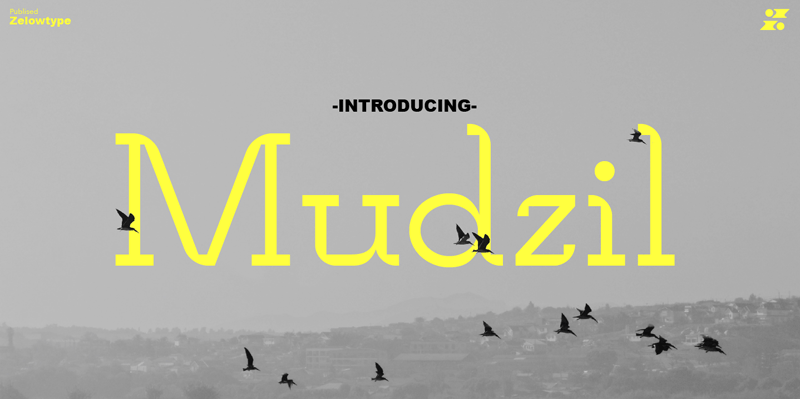 Mudzil