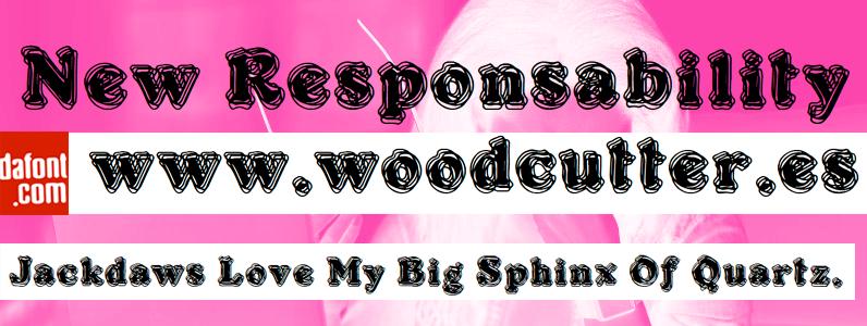 New Responsability
