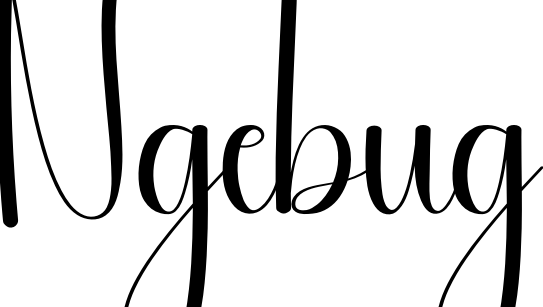 Ngebug