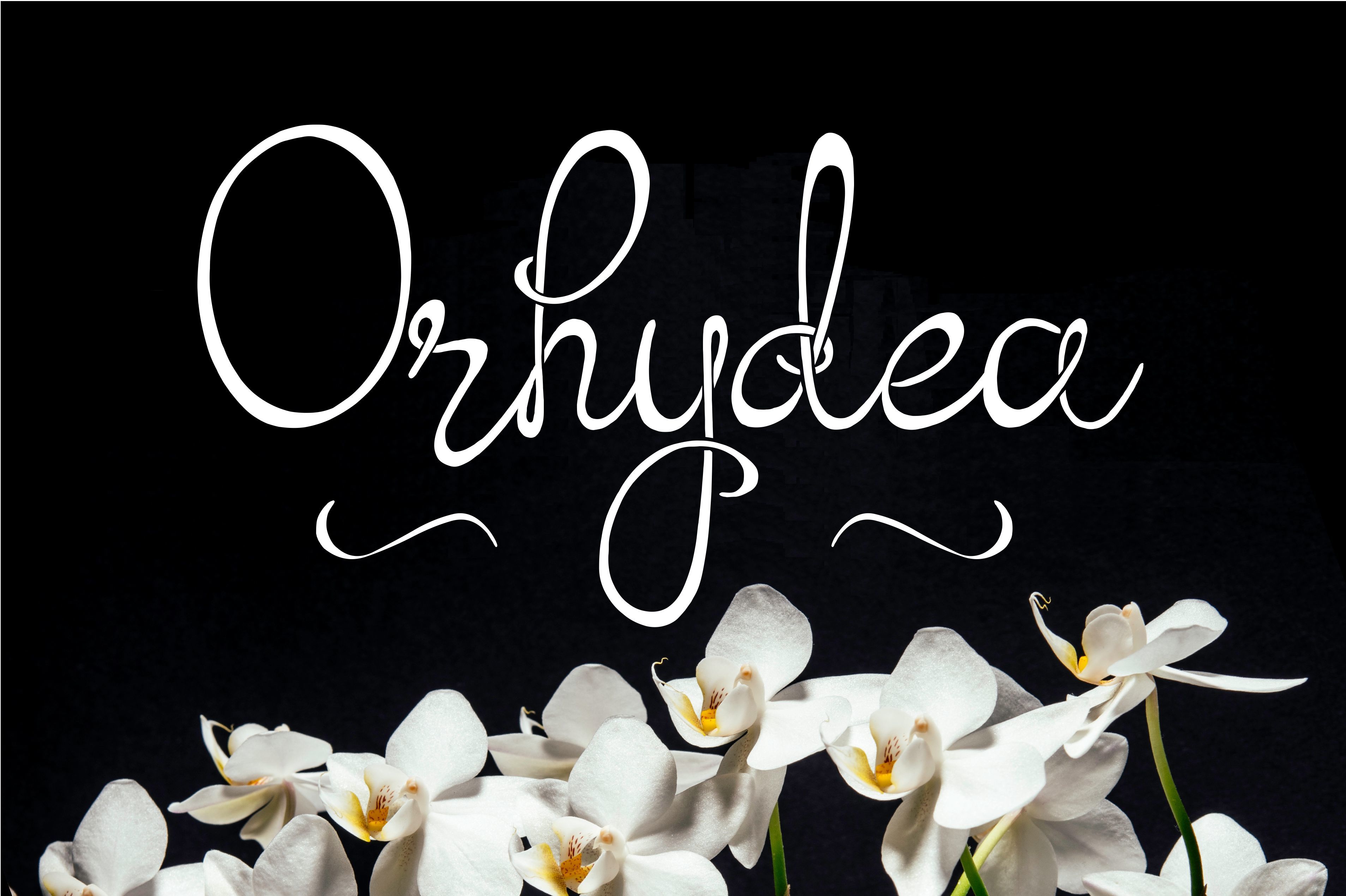 Orhydea