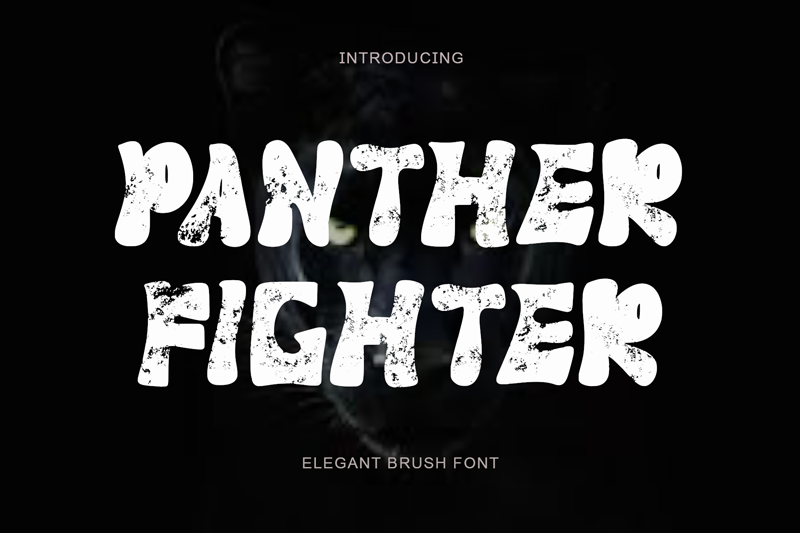 Panther Fighter