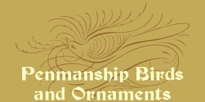 Penmanship Birds & Ornaments