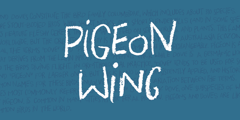 Pigeon Wing 