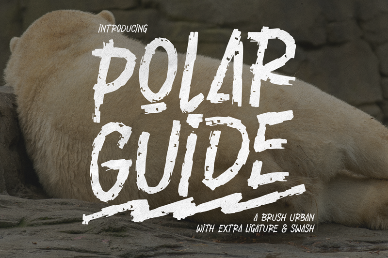 Polar Guide